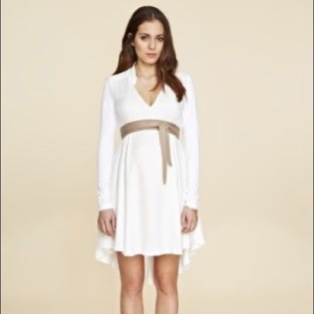 Isabella Oliver Maternity Dress